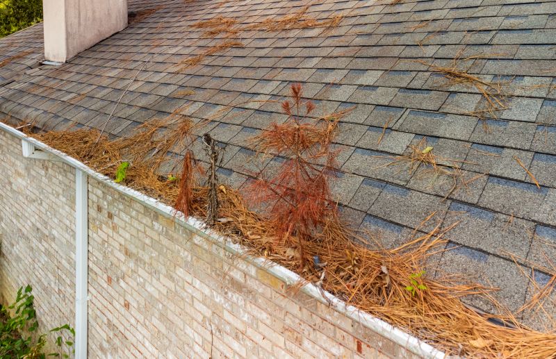 Gutter Pine Needle Removal in Rochester, NY