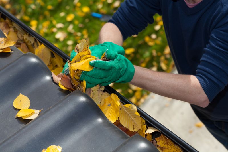 Business Gutter Cleaning in Denver, CO