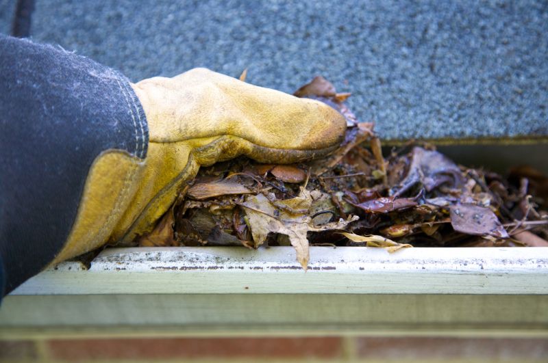 Gutter Cleaning in Fredericksburg, VA