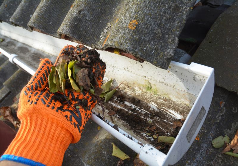 Roof Gutter Cleaning in Richmond, VA